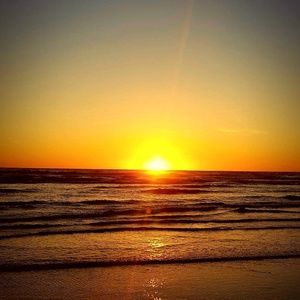 Meet your Posher, Samuel